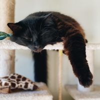 madalyn-cox-X7OokuRyvCI-unsplash (1)